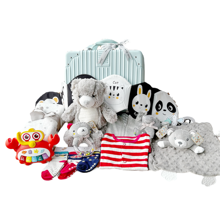 New Born Baby Boy LED Light Swaddle Socks Plush Blanket Romper Rattles Grey Bear Suitcase Mummy Makeup Box Gift Hamper