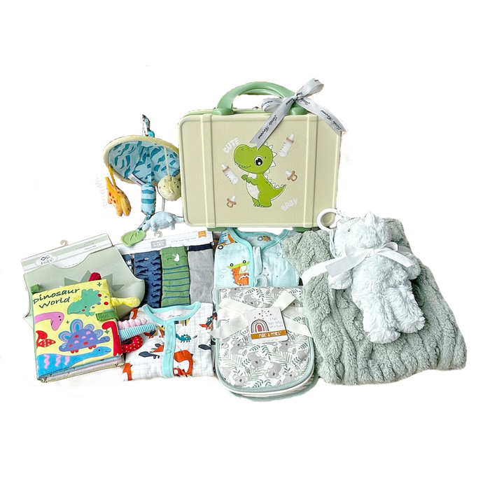 New Born Baby Boy LED Light Layette Plush Blanket Dinosaur Suitcase Mummy Makeup Box Gift Hamper Gift Box Set