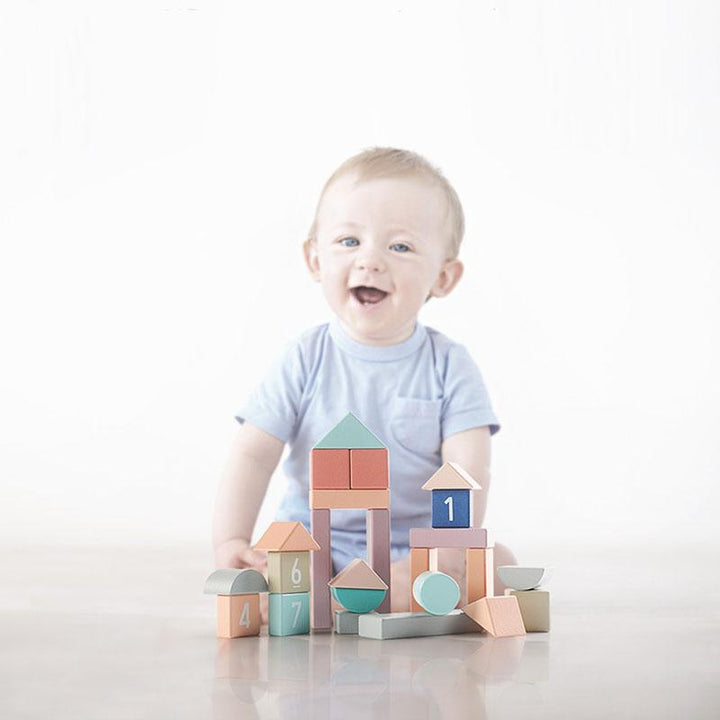 Babycare Building Blocks (81pcs) - Little Kooma