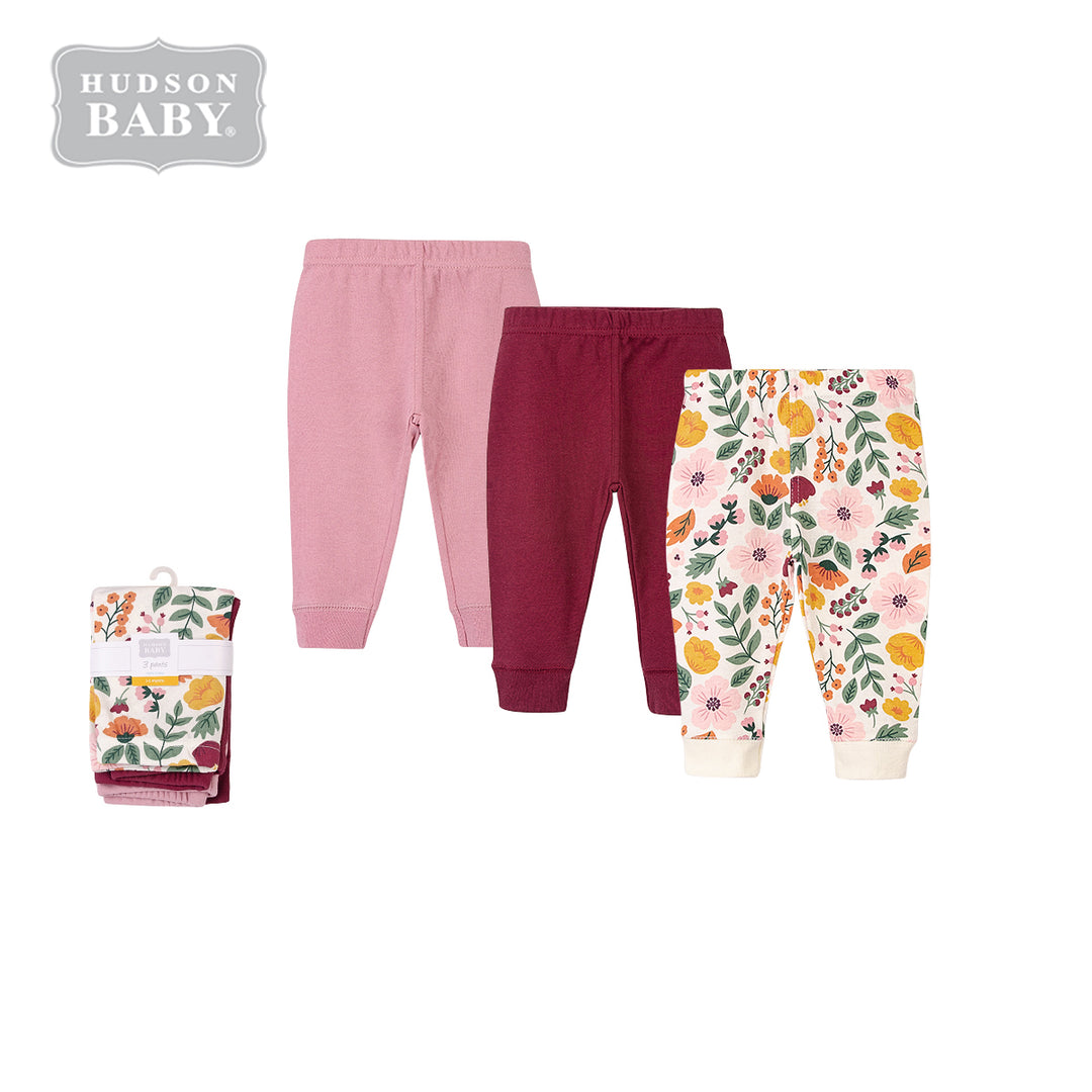 Hudson Baby Girl Pants Set 3pc Fall Botanical 00658CH - Little Kooma