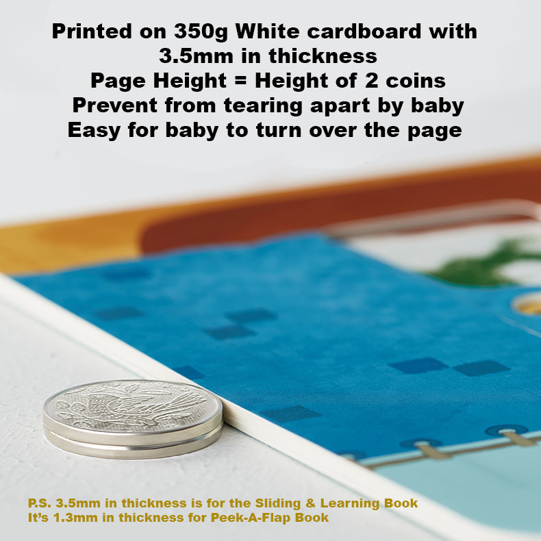 Babycare Sliding & Learning Book Peek-A-Flap Book - Little Kooma